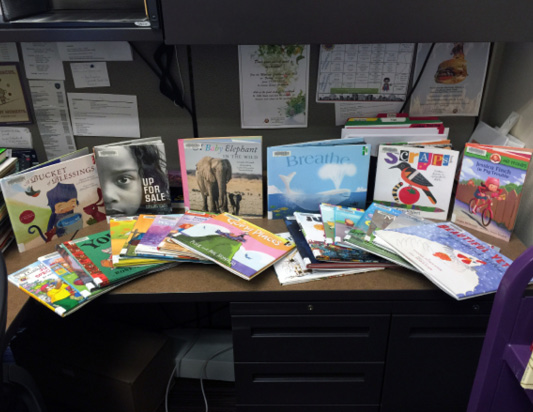 Display of books sent to Maricopa Public Library, 2015 Bookapalooza recipient.