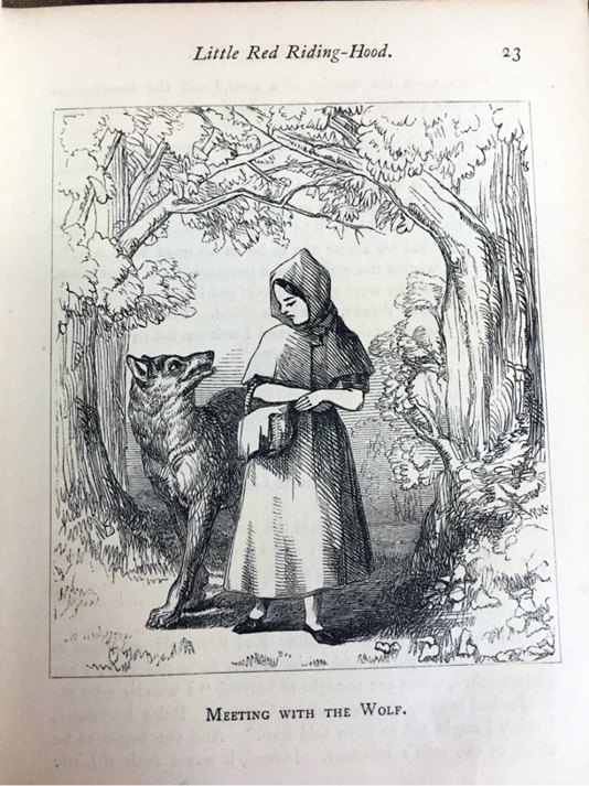 The Better To See You With Peering Into The Story Of Little Red Riding Hood 1695 1939 Reynolds Children And Libraries