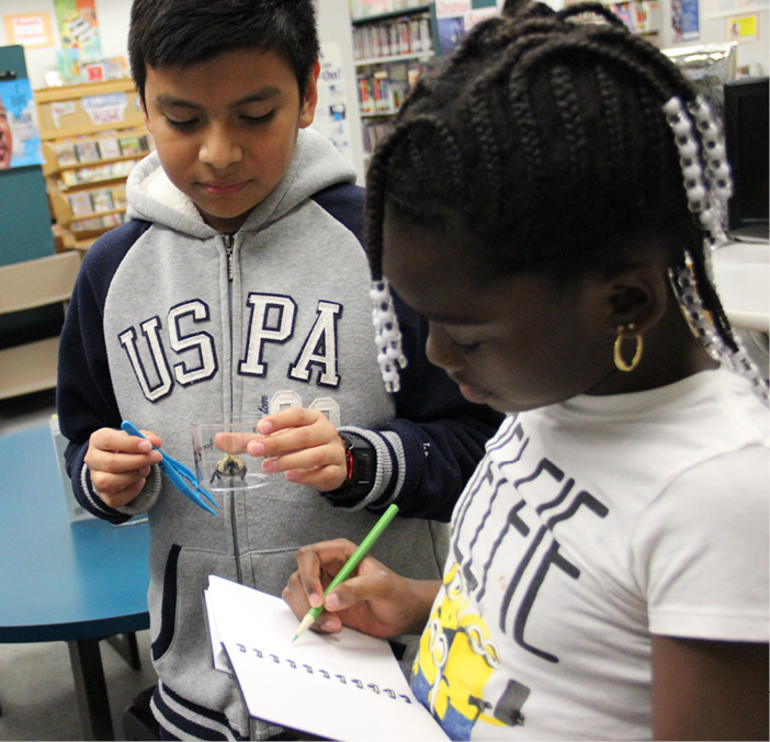 These curious students study an insect.