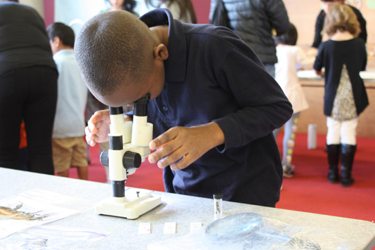 A boy looks down into a microscope.