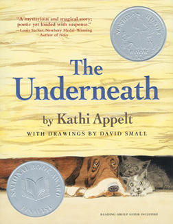 Book cover: The Underneath