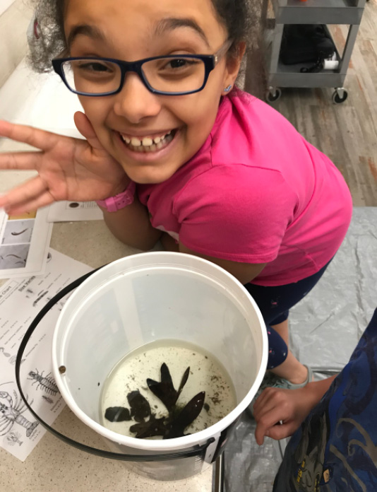 A child smiles when she sees a snail in a water sample.
