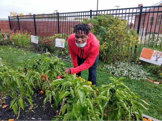 Jacob is one of several teens who help keep CCPL’s Warrensville Heights Branch garden watered and weeded. He and his friends report that they have started adding peppers, broccoli, and chives from the library garden to their ramen noodles.