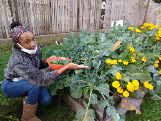 Taliyah is a frequent visitor in the youth department at CCPL’s Warrensville Heights Branch, and is always eager to get involved in activities being offered. In the garden, she quickly fills a bowl with fresh broccoli and a green pepper.