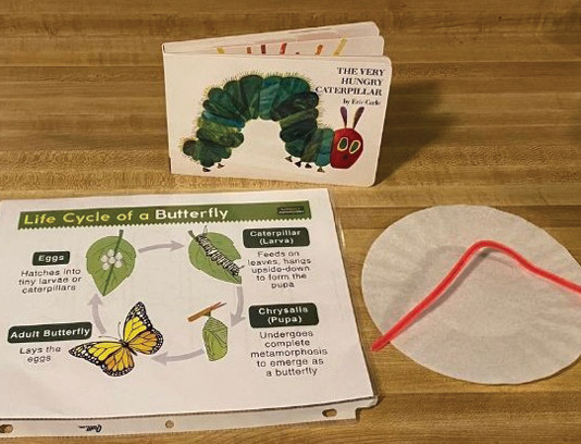 Display: The Very Hungry Caterpillar and a handout titled Life Cycle of a Butterfly.
