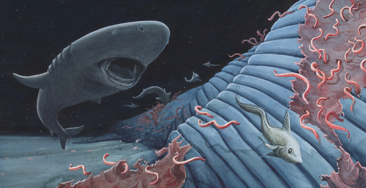 Interior from Life After Whale: The Amazing Ecosystem of a Whale Fall by Lynn Brunelle, illustrated by Jason Chin. Illustrations © 2024 by Jason Chin. Used with permission from Holiday House Publishing, Inc. All rights reserved.