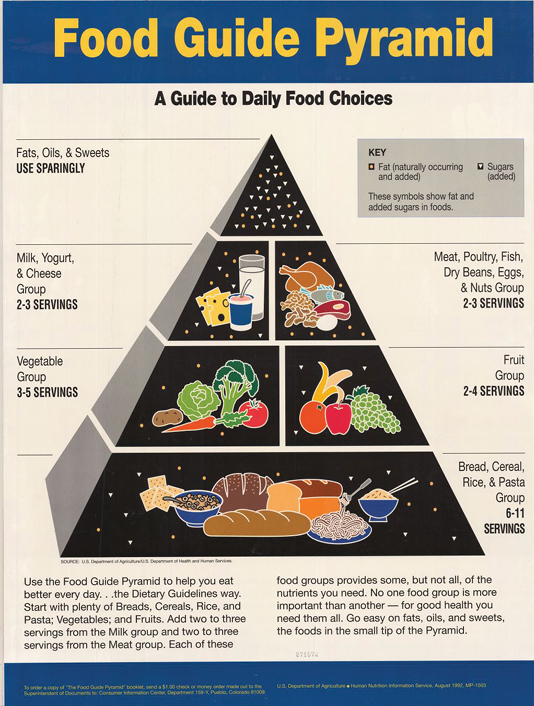 The 1992 Food Pyramid
