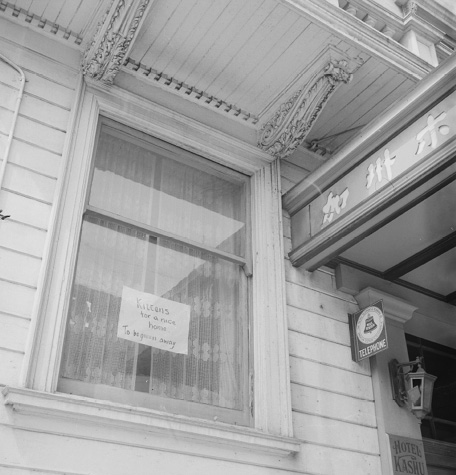 Dorothea Lange, “San Francisco, California. A home is sought for kittens as owners prepare to evacuate. Evacuees of Japanese ancestry will housed in War Relocation Authoritry centers for the duration,” Records of the War Relocation Authority, 1941–1989, https://catalog.archives.gov/id/536470.