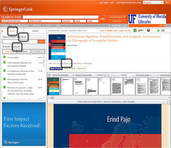 Springer E-book Screenshot