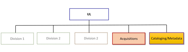 Model 5. Flat Reporting Model: The areas of acquisitions and cataloging/metadata report directly to University Librarian along other divisions