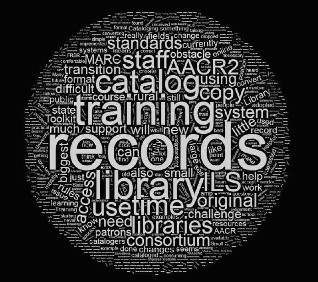 Word Cloud of Qualitative Responses to Survey