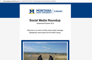 MSU Library social network e-mail newsletter