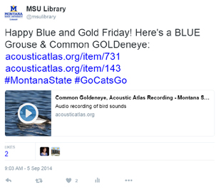 Acoustic Atlas sounds shared on Twitter for Blue and Gold Friday