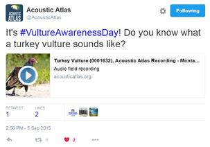 Acoustic Atlas tweet for International Vulture Awareness Day