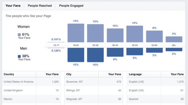 Facebook Insights: people who liked your page