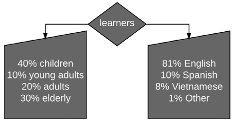 Example concept map of learner demographics on age and language
