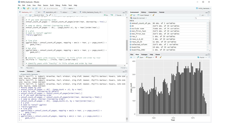 RStudio integrated development environment (IDE)