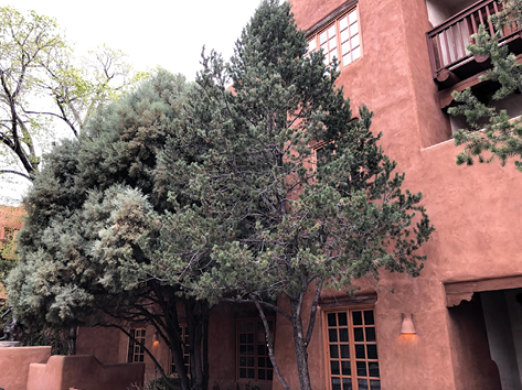 An example of an adobe building in New Mexico.