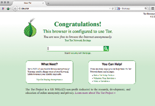 Figure 4. The Tor Browser when opened. Notice the Startpage search engine (in the center of the screen and on the top right as a search bar), as well as the NoScript extension (top left) and Tor Button (top left). The HTTPS Everywhere extension is not displayed, but it’s installed.