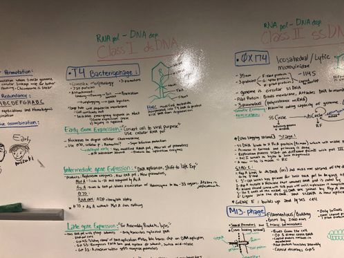 Figure 4. Class notes on the whiteboard wall.